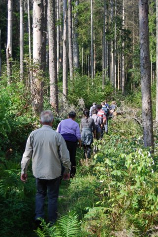 schwarzwald2009_081.jpg