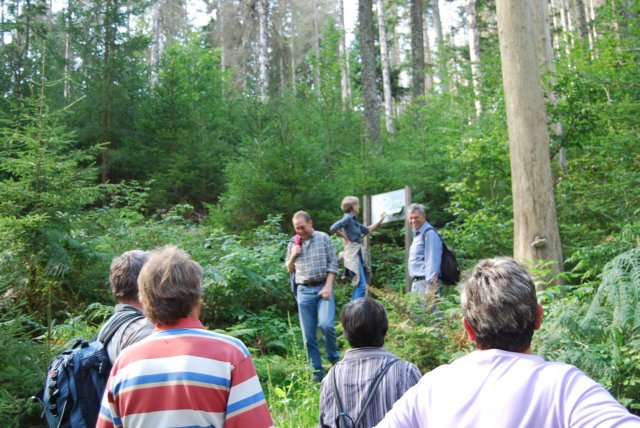 schwarzwald2009_082.jpg