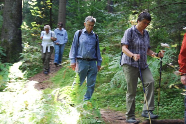 schwarzwald2009_089.jpg