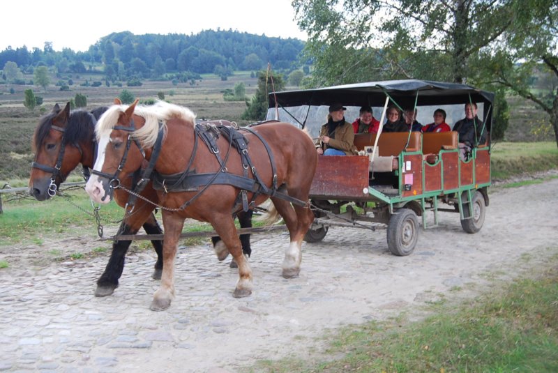 tsreise_hh2010_342.jpg