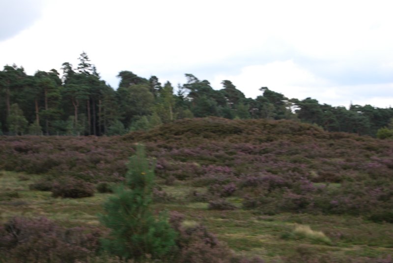 tsreise_hh2010_344.jpg