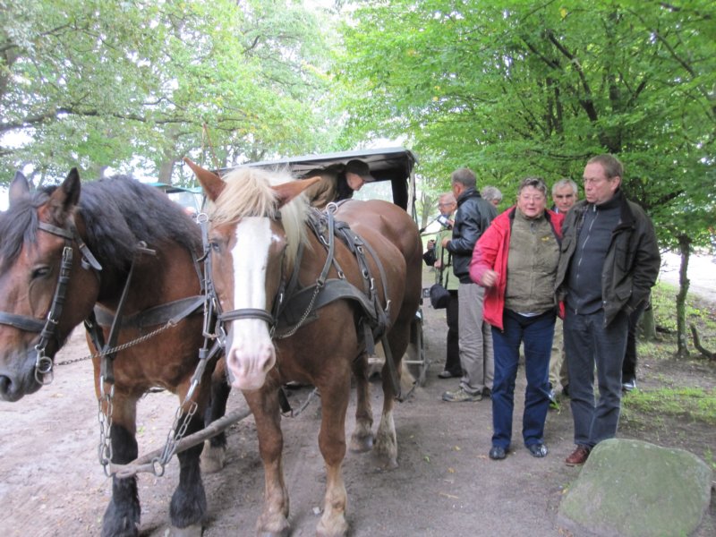 tsreise_hh2010_352.jpg