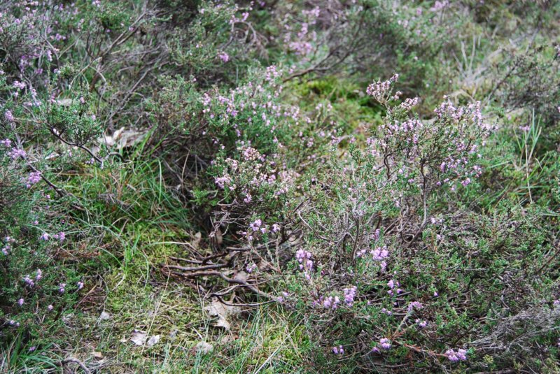 tsreise_hh2010_373.jpg