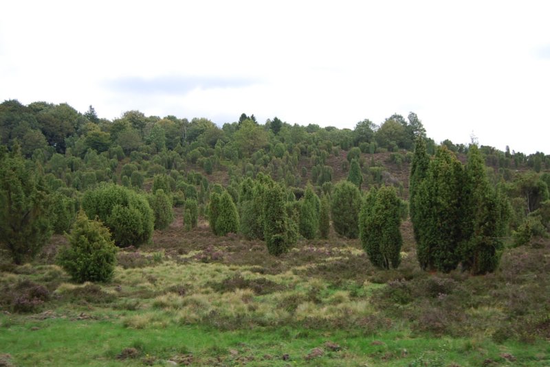 tsreise_hh2010_377.jpg