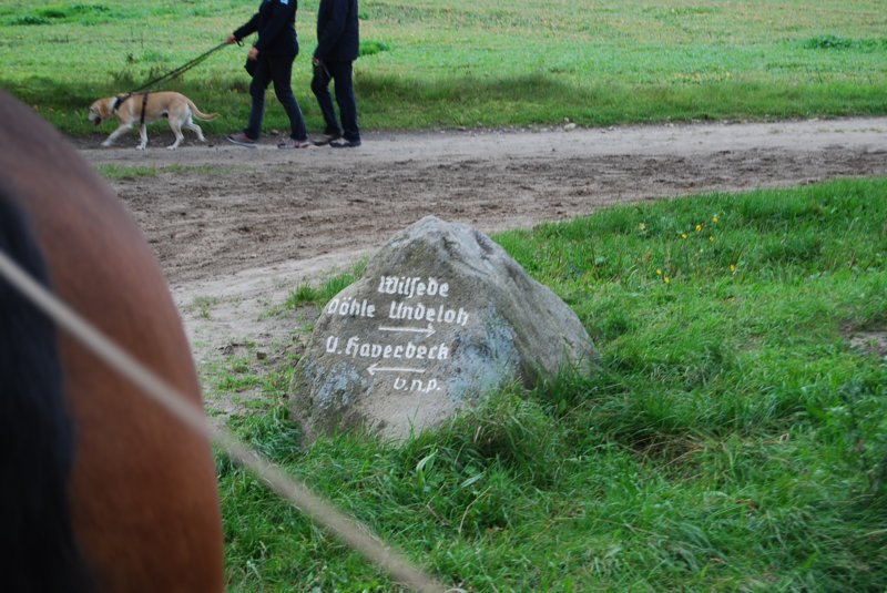 tsreise_hh2010_380.jpg