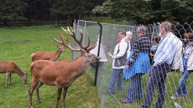 schwarzwald2014_071.jpg