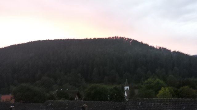 schwarzwald2014_163.jpg