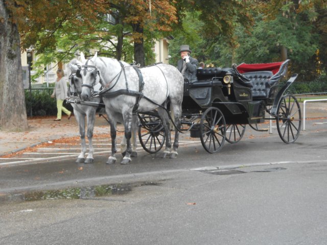 schwarzwald2014_211.jpg