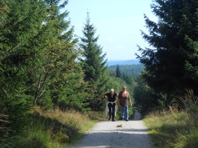 schwarzwald2014_339.jpg