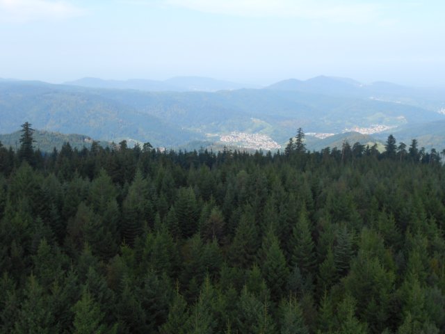 schwarzwald2014_343.jpg
