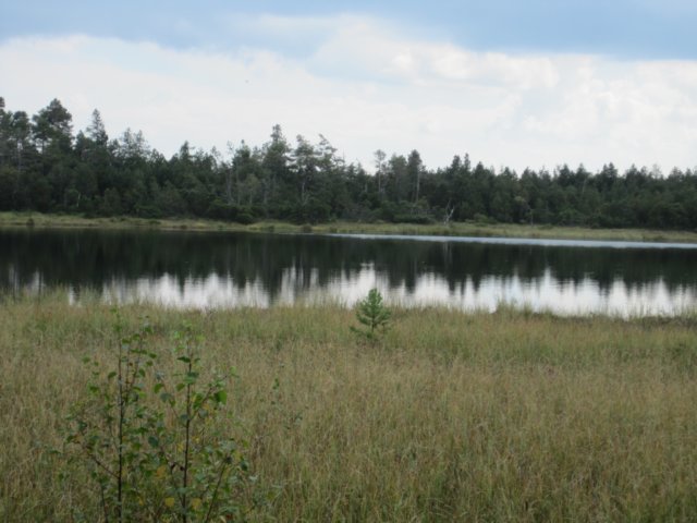 schwarzwald2014_363.jpg