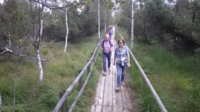 schwarzwald2014_374.jpg