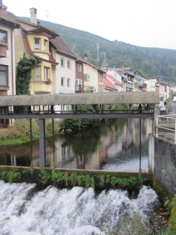 schwarzwald2014_396.jpg