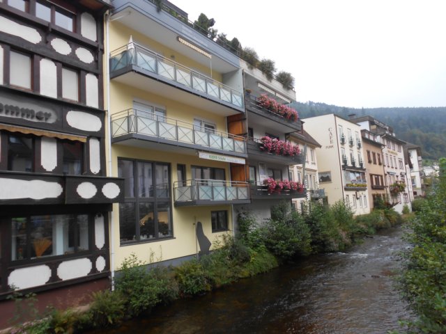 schwarzwald2014_410.jpg